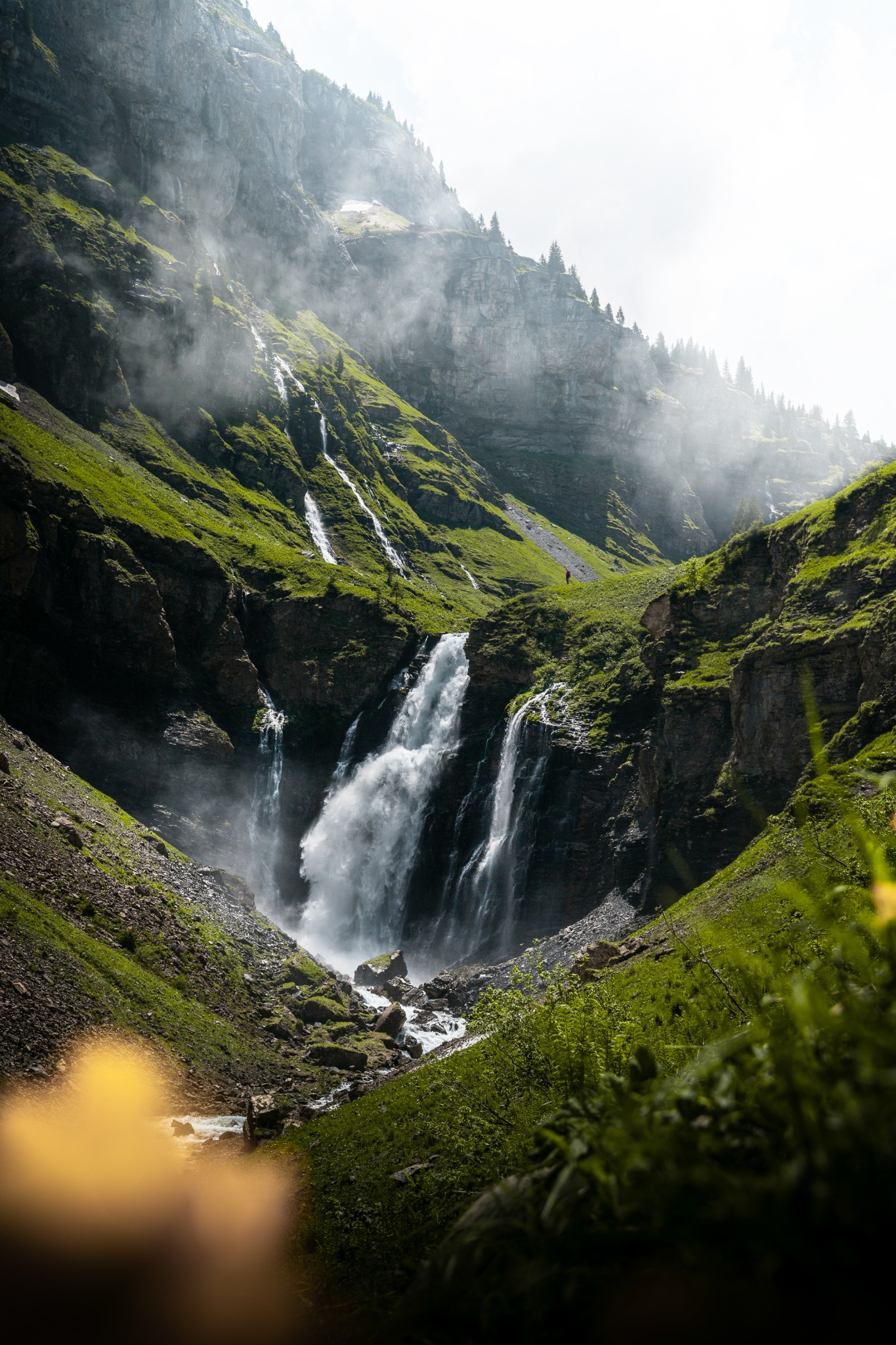 Cascade sur un versant verdoyant dans la brume