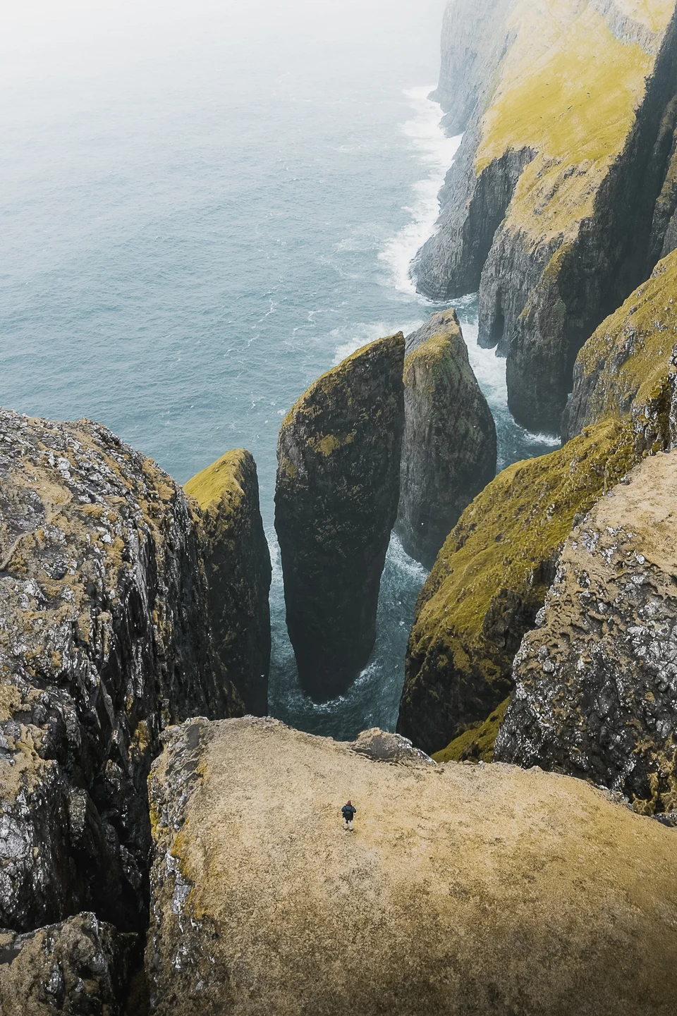 Falaises plongeant dans la mer aux îles Féroé