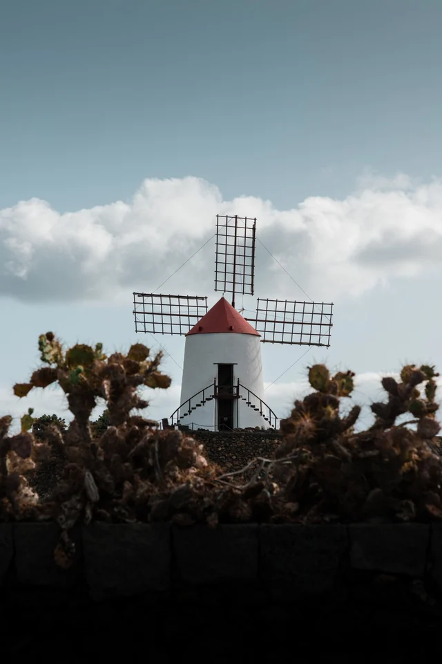 Moulin blanc parmi les cactus sous le ciel bleu de Lanzarote