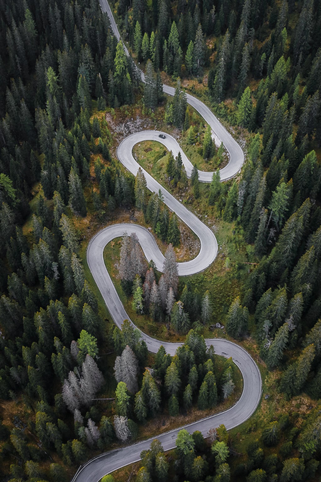 Route en lacets entre les conifères, photographiée en vue aérienne oblique