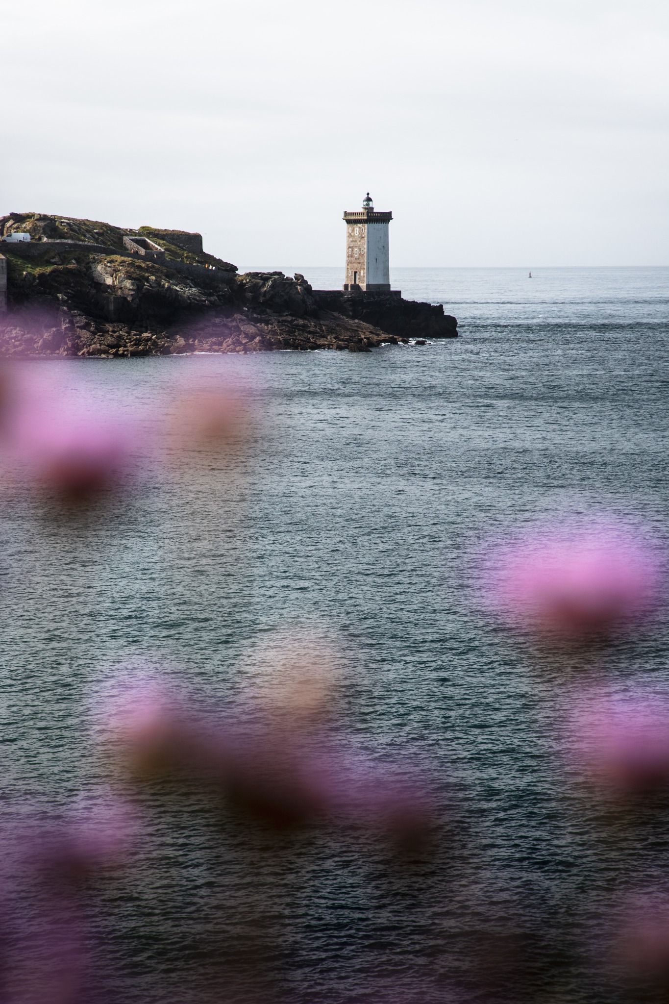 Phare sur une côte rocheuse avec des fleurs roses au premier plan