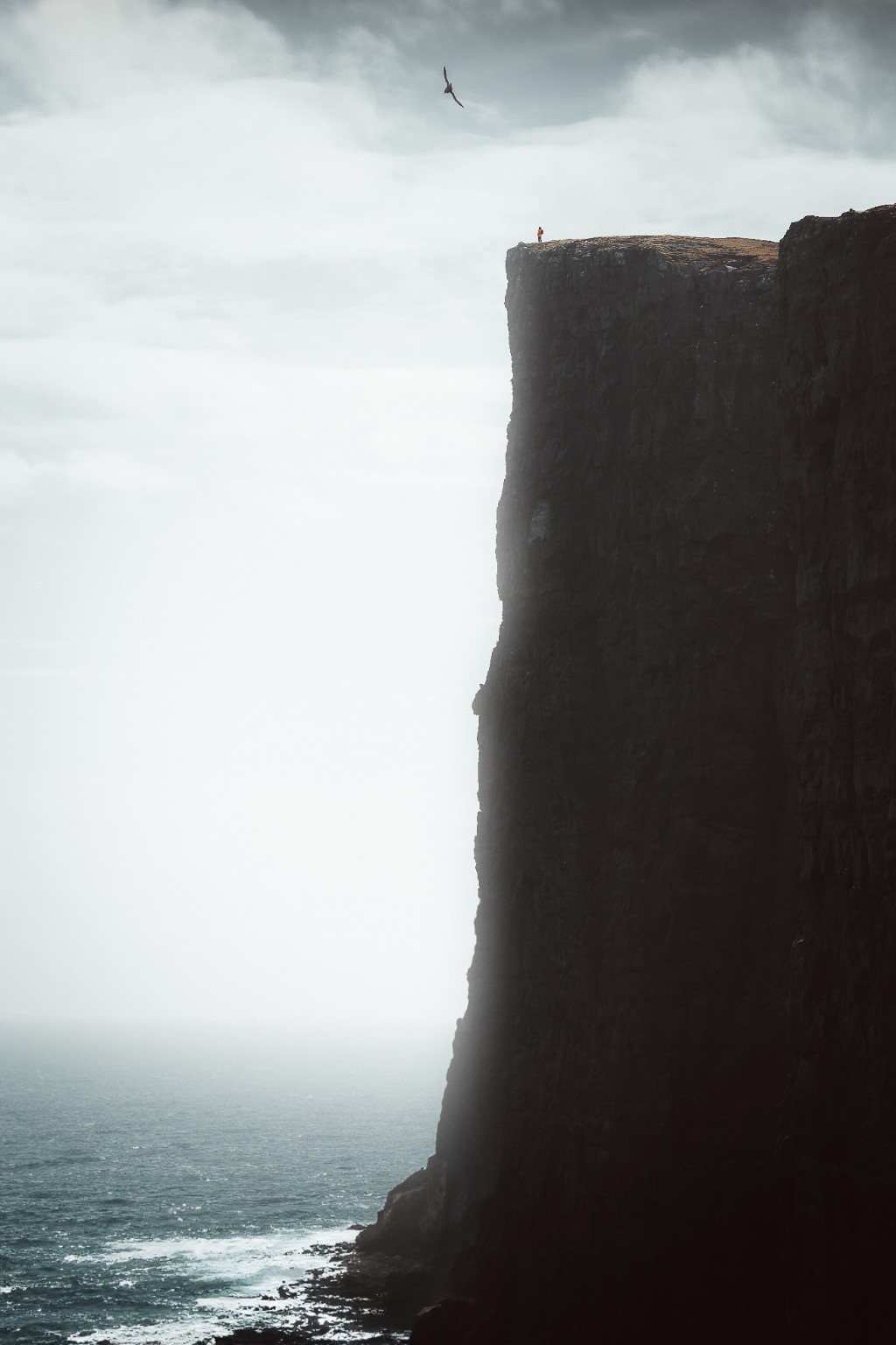 Falaise verticale au-dessus de la mer avec une silhouette au sommet et un oiseau dans le ciel